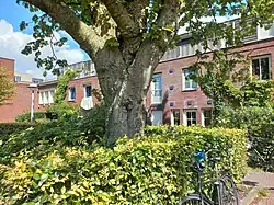 Plantsoen en bebouwing (juli 2024)