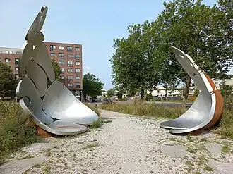 Rise van Caroline Ruijgrok en Sajoscha Talirz uit 2024