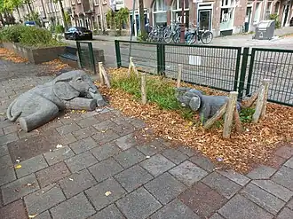 Olifant met kalf en plaquette (augustus 2024)