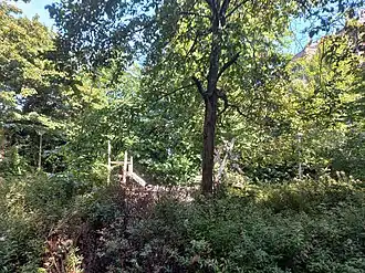 Coentje Gansplantsoen (juli 2025)