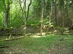 Oude muur van woning tussen de bomen (2006)