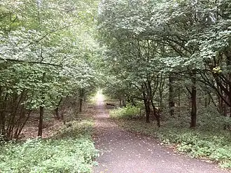 Vanaf de hoge kamp loopt de weg vrij steil naar de woonwijk De Held
