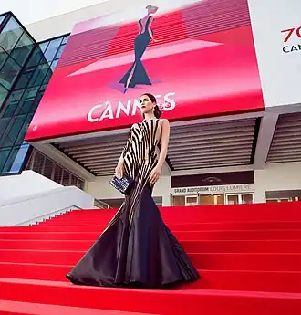 Filmfestival van Cannes 2017