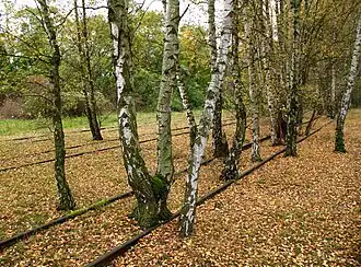 Veel sporen zijn nog steeds zichtbaar in het park