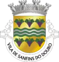 Vlag van Sanfins do Douro