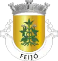 Vlag van Feijó