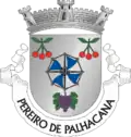 Vlag van Pereiro de Palhacana