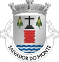 Vlag van Salvador do Monte