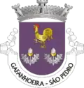Vlag van São Pedro de Gafanhoeira
