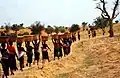 Vrouwen uit een wijk met mest op weg naar de akker van een van hen, Tireli, Mali 1990