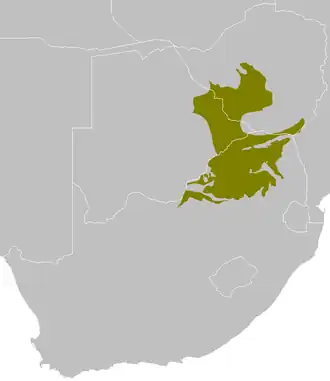 Bosveld van Zuidelijk Afrika