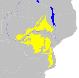 Zuidelijke miombobossen