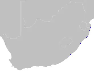 Mangrovebossen van Zuid-Afrika en Mozambique