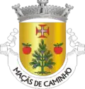 Vlag van Maçãs de Caminho