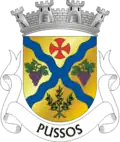 Vlag van Pussos
