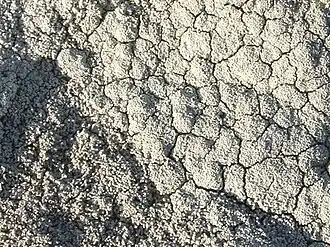 Granietspeldenkussentje