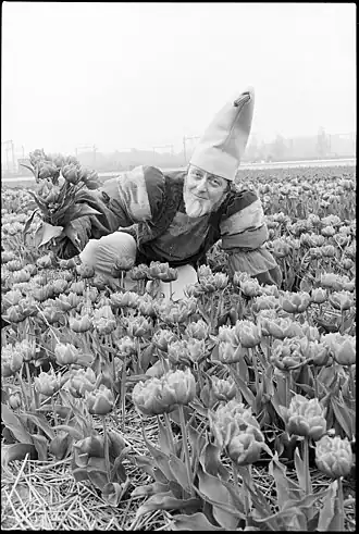 Aart Staartjes als Pinkeltje in tulpenveld, 1978[1]