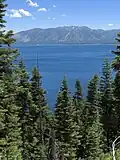 Exemplaren op de oever van Lake Tahoe