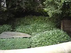 Tree of Water, Breath of Leaves, Mönchengladbach