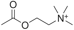 Structuurformule van acetylcholine