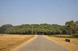 De Grote Banyan is een andere bekende Ficus benghalensis in India