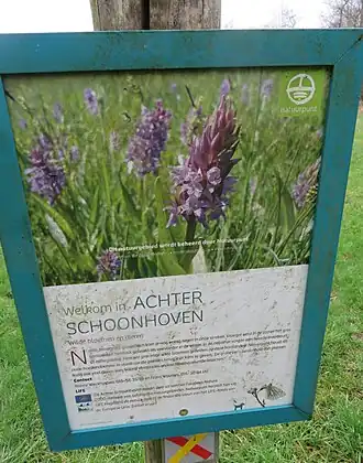 Achter Schoonhoven