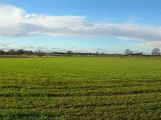 Het gemeentehuis in de achtergrond