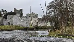 Desmond Castle aan de Maigue