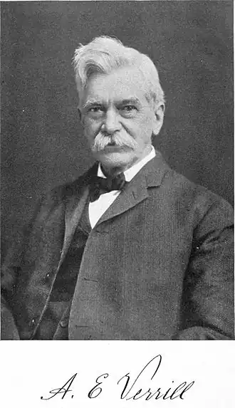 Addison Emery Verrill