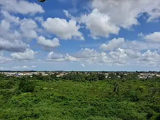 Flora vanaf de uitkijktoren van de AdeKUS