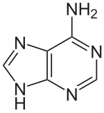 Structuurformule van adenine
