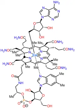 ▵ Structuurformule van cobalamine. Bovenaan in deze structuur is de desoxyadenosylgroep te zien (aan het kobalt-ion) die afsplitsbaar is