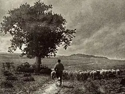Schaapherder met schaapskudde en herdershond bij een boom op de heide onder een wolkenlucht