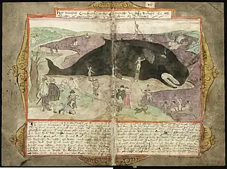 Walvis van Saaftinge. Visboeck, folio 44vo-45ro (KB blz. 53v-54r)