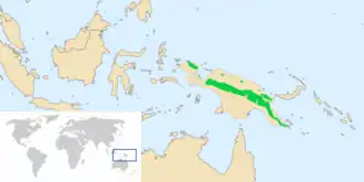 Rosse dwergnachtzwaluw