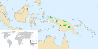 Wallace' dwergnachtzwaluw