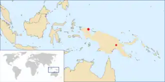 Vogelkopdwergnachtzwaluw