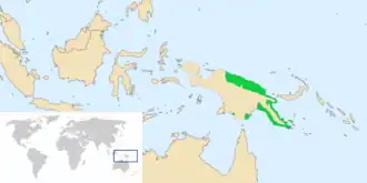 Bennetts dwergnachtzwaluw