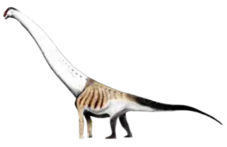 Aegyptosaurus