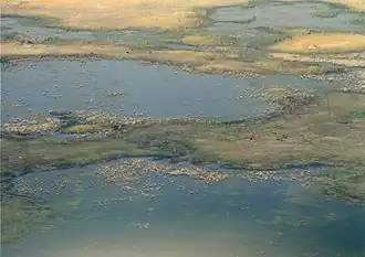 Okavangodelta vanuit de lucht