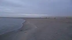 Afgedamde oude geul bij laag tij