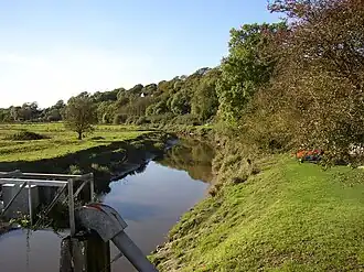 De Tâf ter hoogte van St Clears