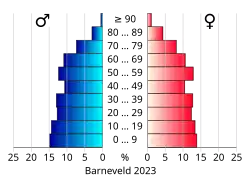 Bevolkingspiramide van de gemeente Barneveld