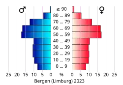 Bevolkingspiramide van de gemeente Bergen