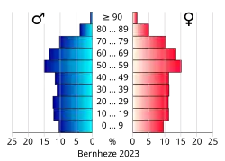 Bevolkingspiramide van de gemeente Bernheze