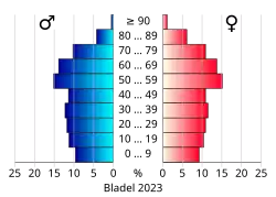 Bevolkingspiramide van de gemeente Bladel