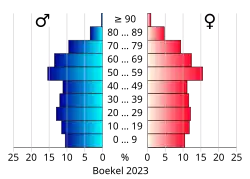 Bevolkingspiramide van de gemeente Boekel