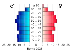 Bevolkingspiramide van de gemeente Borne