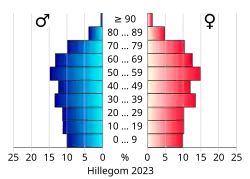 Bevolkingspiramide van de gemeente Hillegom