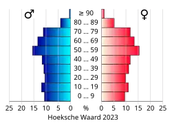 Bevolkingspiramide van de gemeente Hoeksche Waard